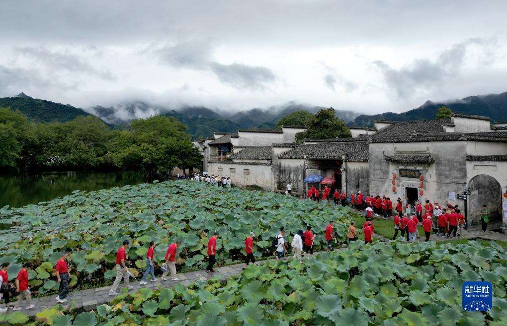 bg视讯平台
